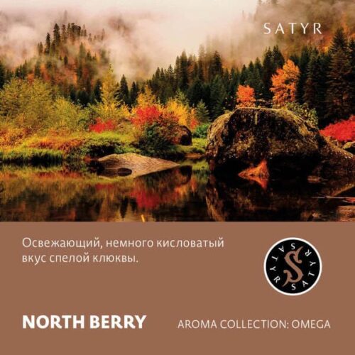 Satyr / Табак Satyr Aroma North Berry, 100г [M] в ХукаГиперМаркете Т24