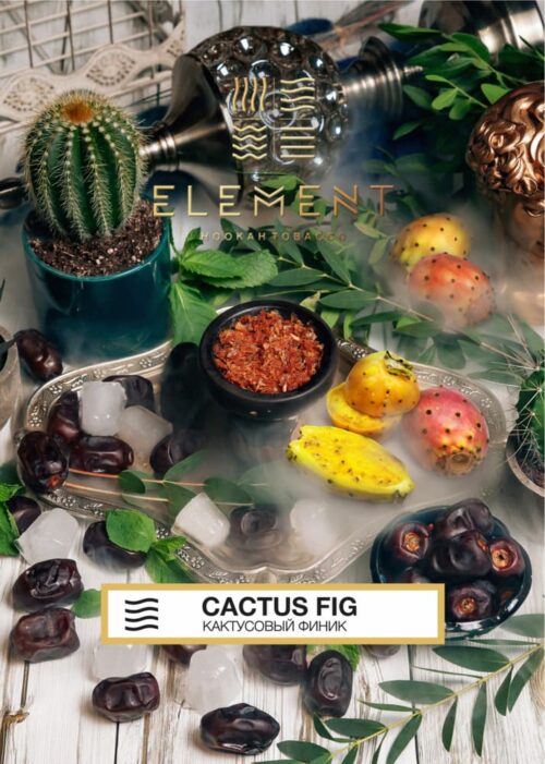 Element / Табак Element Воздух Cactus fig, 200г [M] в ХукаГиперМаркете Т24